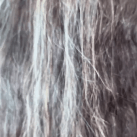 instagram-1787169186332.gif