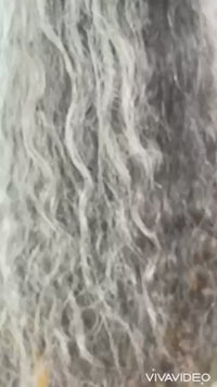 Vídeo 2
